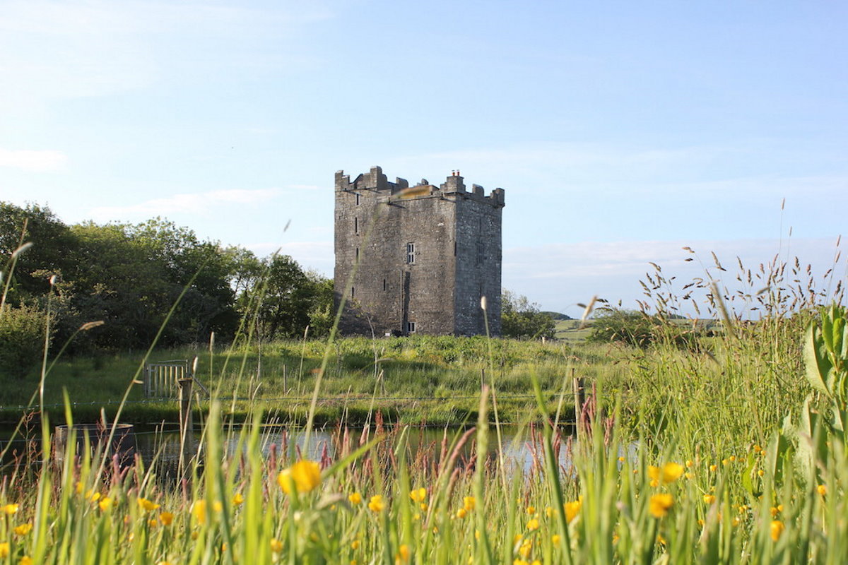 Smithstown Castle - Vacation Rental 1