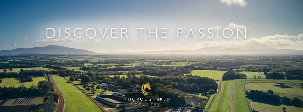 Thoroughbred Country - Unique Equine and Racing Experiences 1a